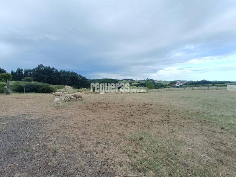Foto fcc151b0-a7a8-4262-a2a2-921e5fb65b74. Terreno residencial parcelas en venta en perdones gozon en Gozón