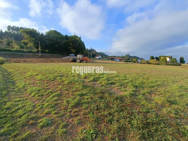 Foto 27a6fd48-94ab-4e3d-9a92-a9d2dfe899eb. Wohngrundstück in Verdicio-Bañugues-Cabo Peña Gozón