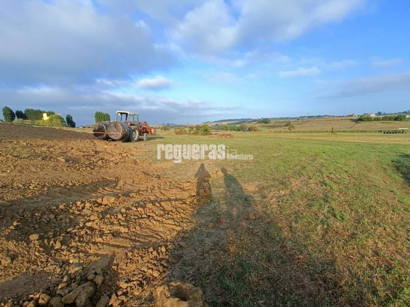 Foto 8a8ecd04-3d68-417f-92ee-ea5560d6308c. Wohngrundstück in Verdicio-Bañugues-Cabo Peña Gozón