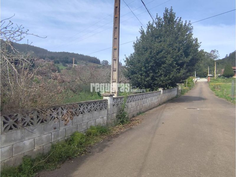 Foto 14abff99-2d54-46dc-afaf-36af9e5daff8. Casa amb calefacció aparcament a Pravia