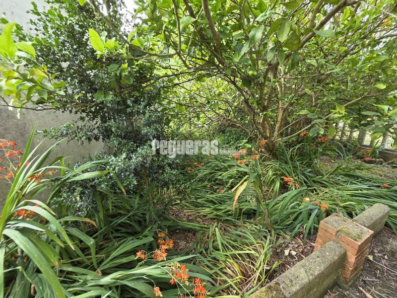 Foto fff4a6d9-c171-4707-b325-a87b3dffe02b. Casa amb calefacció aparcament a Illas