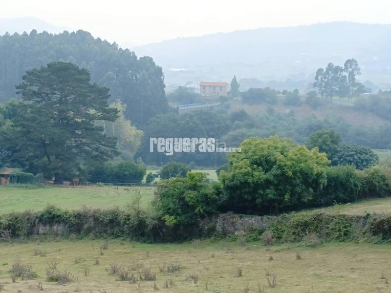 Foto fd5a9fed-7164-4a87-83d6-703d7200f703. House in Villalegre - La Luz Avilés