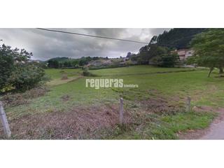 Fondo rustico in Pillarno. Finca edificable castrillon