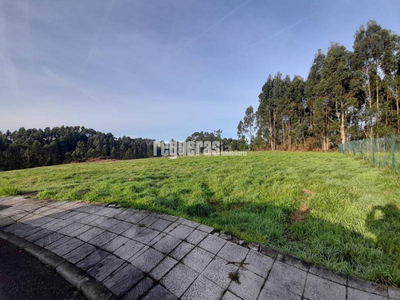 Foto 71faa502-0fae-4eef-b286-d9e02325ec3e. Finca rústica a El Carbayedo - El Quirinal Avilés