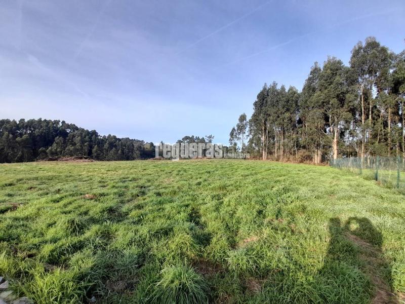 Foto a7d9548d-0c74-4d51-9136-2d8564bed902. Finca rústica a El Carbayedo - El Quirinal Avilés