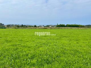 Terrain résidentiel  Quintana cadavedo. Terreno en venta en  quintana  cadavedo