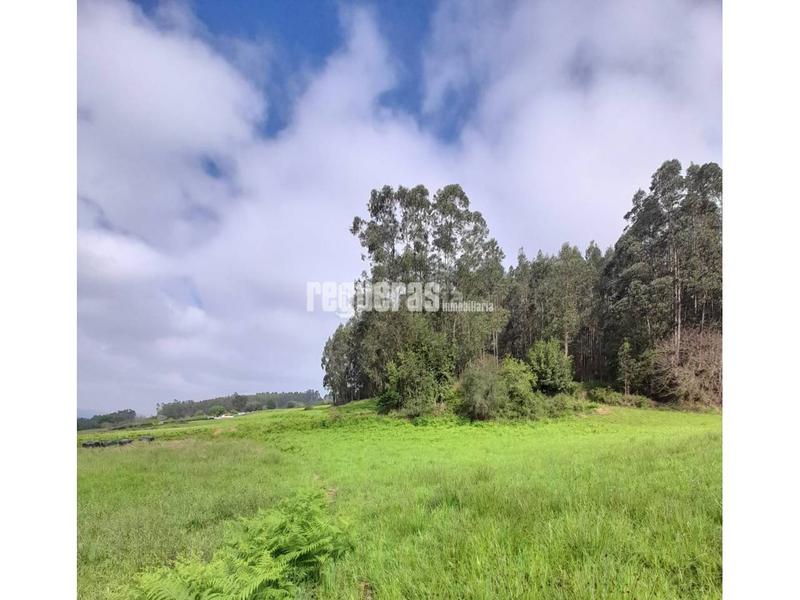 Foto 434afbac-68de-4e7d-8178-afbbd06d5de7. Terreno residenziale in Soto del Barco