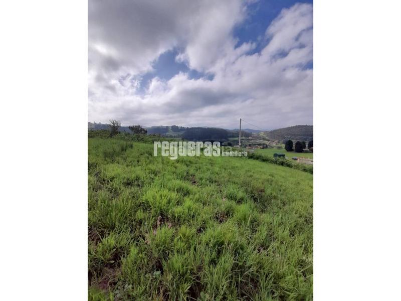 Foto 466d8d84-1739-4a96-87e2-5234c7b958b0. Terreno residenziale in Soto del Barco