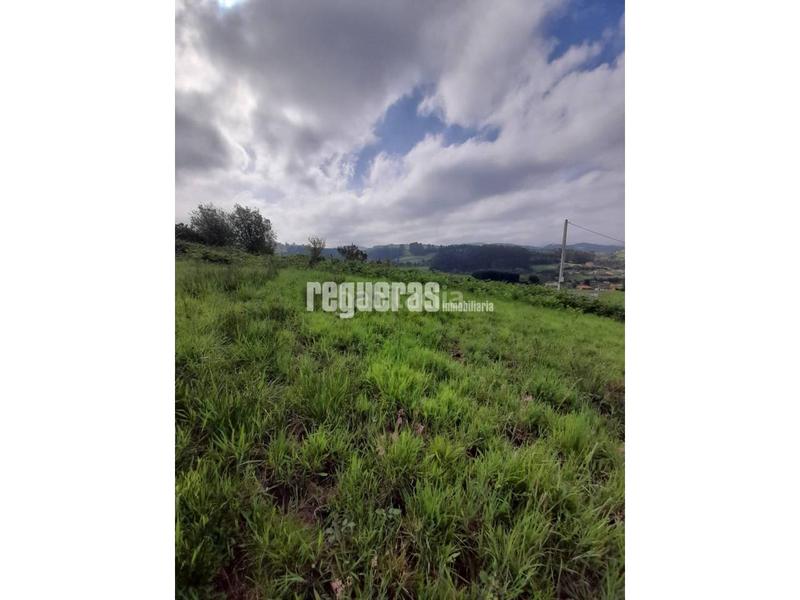 Foto 5875f068-016a-4e67-95d3-0252157c1da3. Terreno residenziale in Soto del Barco