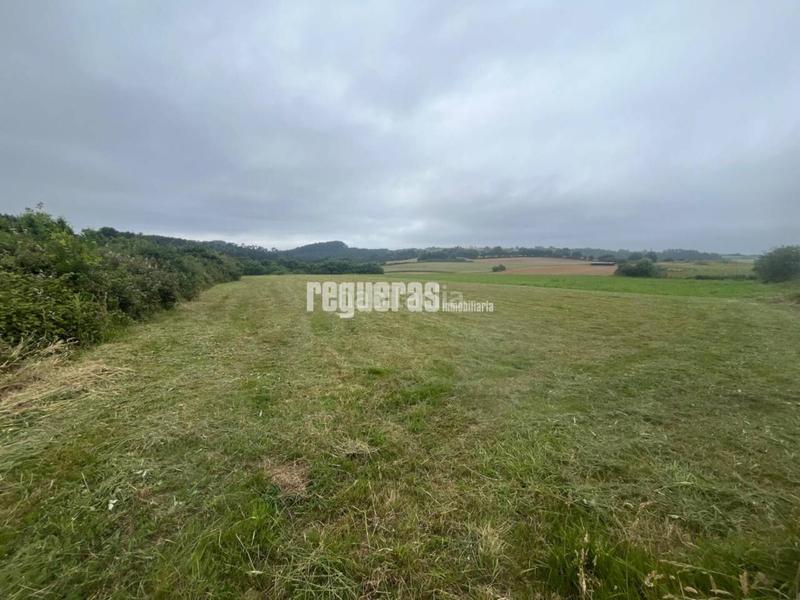 Foto 7fe3f5de-ecf1-4cbf-9086-7b91fac0ef3f. Terrain résidentiel dans Verdicio-Bañugues-Cabo Peña Gozón