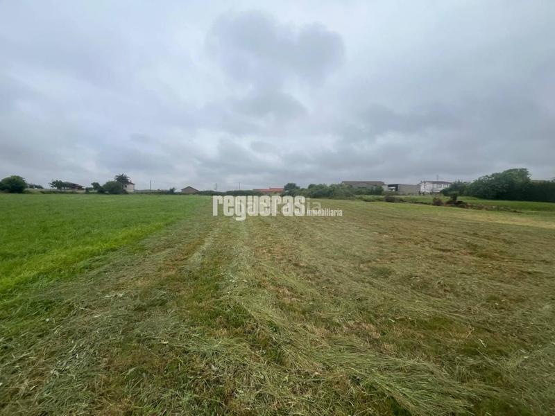 Foto e10cf73d-aaad-45c6-bd67-ca5abd6f0429. Terrain résidentiel dans Verdicio-Bañugues-Cabo Peña Gozón