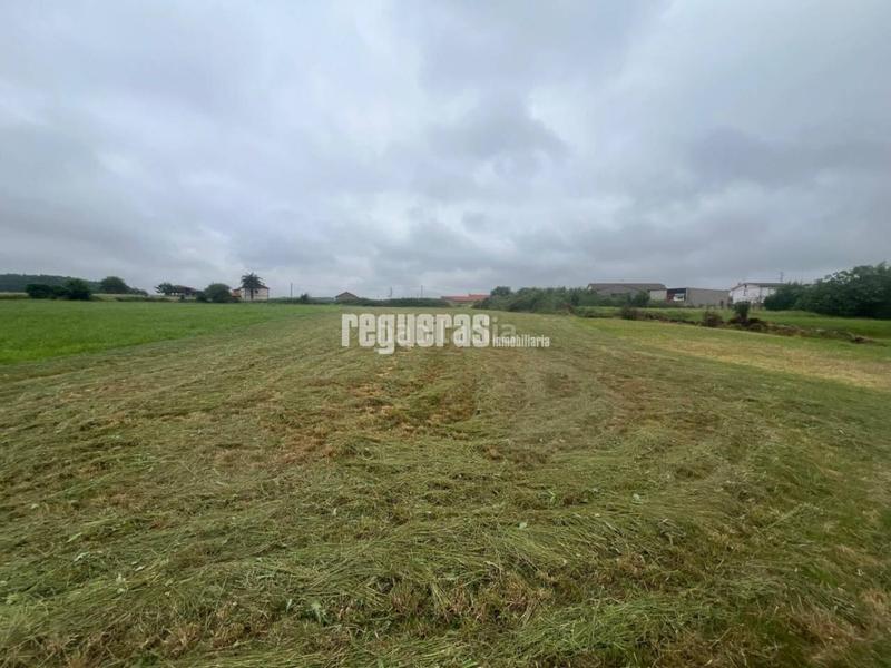 Foto eb1ab6f0-aa47-4be1-a0b1-400f21634171. Terrain résidentiel dans Verdicio-Bañugues-Cabo Peña Gozón