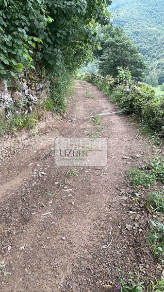 Foto d86d4cc8-69dc-4232-8de3-17c17ec1fb7a. Finca rústica a Aller - p.valle s/n a Aller