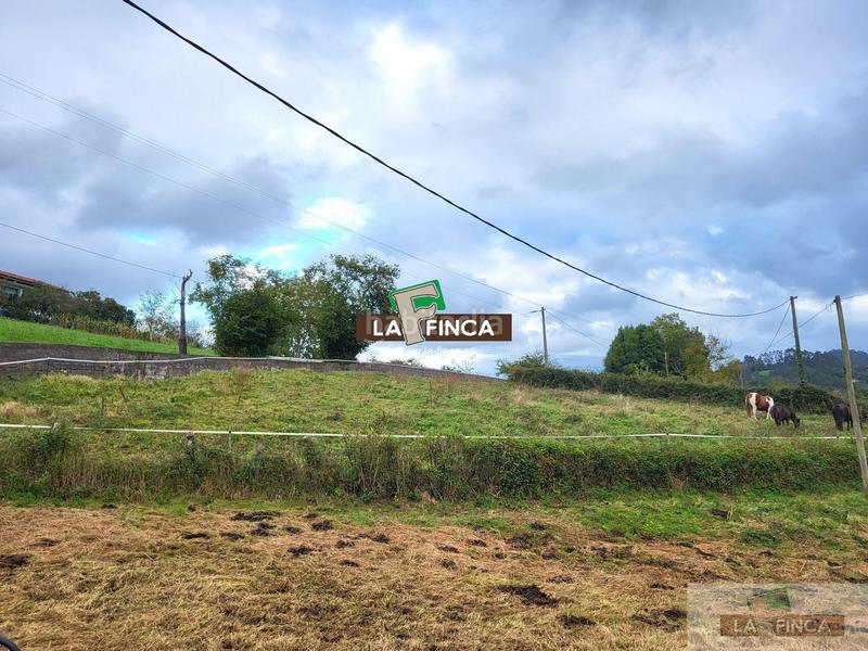 Foto 6e30463b-b334-4226-99ba-55a8e9ff2c00. Wohngrundstück in la pola Siero Siero