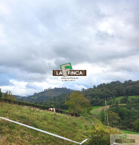 Foto 855c7d40-0391-40f8-8a7b-3ec51d086454. Wohngrundstück in la pola Siero Siero