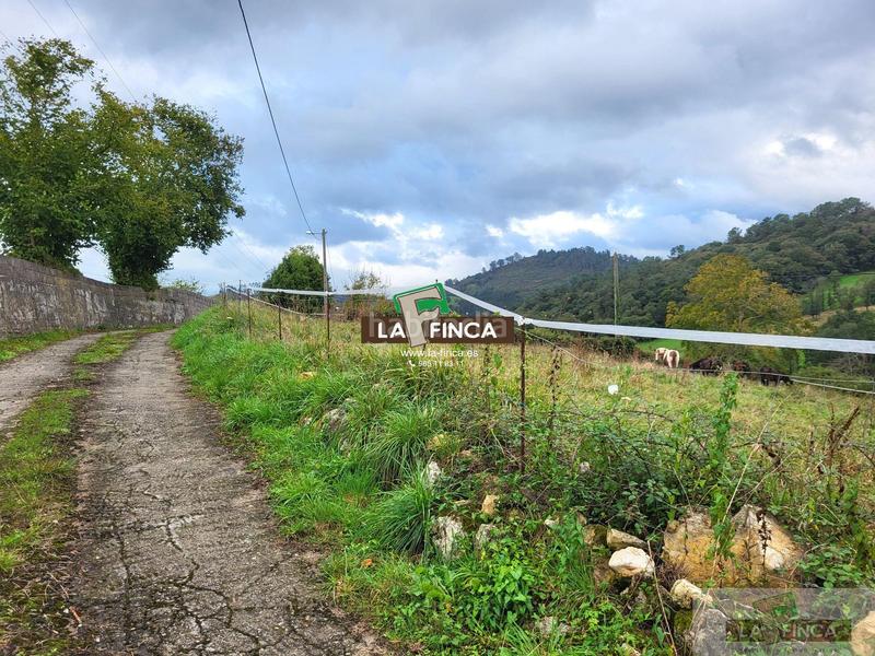 Foto f9f144c9-4f56-4463-ac88-0eb7d4a4d70c. Wohngrundstück in la pola Siero Siero