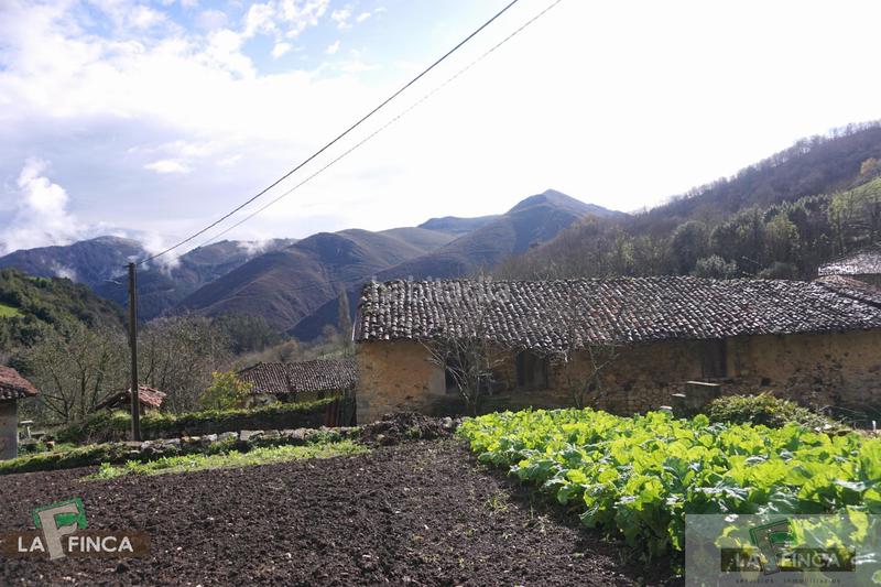 Foto aa6e9188-b8fe-4721-998c-c0bd2381de6d. Casa  en Belmonte de Miranda