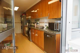 Pis  Pintor jose andres gutierrez alonso. Goznpiso