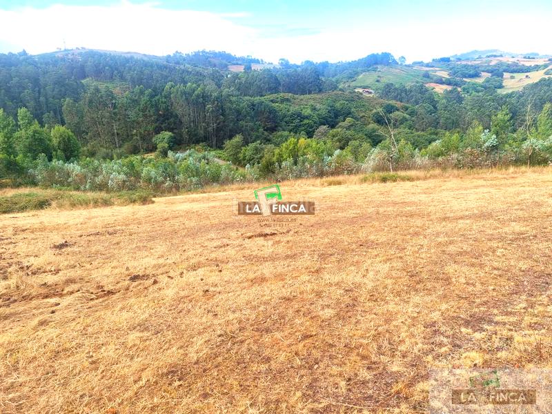 Foto beb79db5-7517-4a47-ae73-350cbabcd78b. Casa  en Llanera