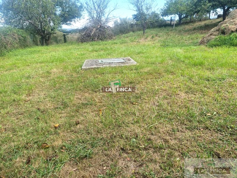 Foto c84bb5b7-ca45-4c9c-9df4-e009ad255b38. Casa  en Llanera
