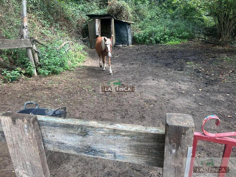 Foto 9e383fee-7bf5-4b33-8bd3-8f7f24809c4d. Bauernhof mit heizung in Parroquias Sur - La Manjoya Oviedo