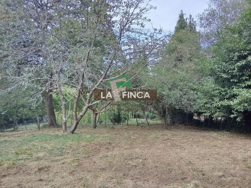 Foto 7d6f8b5d-acc9-4fbe-bd1f-15d41dc60996. Casa amb calefacció a Noreña