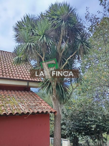Foto b24ada6d-a38b-4906-ab1e-6409d0604537. Casa amb calefacció a Noreña
