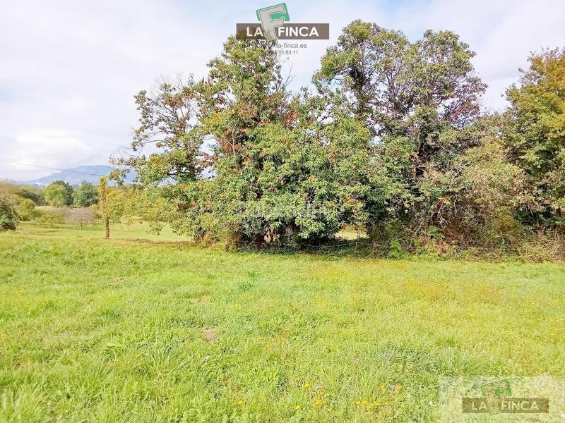 Foto 5567a05b-f123-456f-af38-f83bc05ebcb7. Terreny residencial a Viella-Granda-Meres Siero