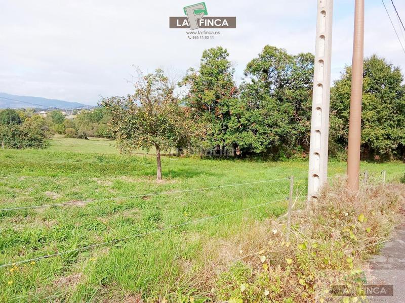 Foto 6d7df003-2951-46a5-aeea-e0c8d6bc054f. Terreny residencial a Viella-Granda-Meres Siero