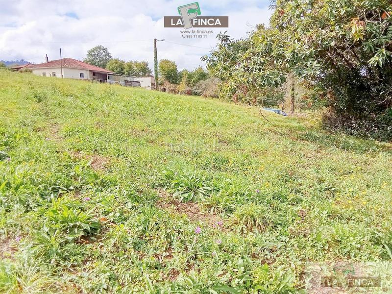 Foto 7ac4ec14-4435-4d5b-b7fb-b6a4c0f632e3. Terreny residencial a Viella-Granda-Meres Siero