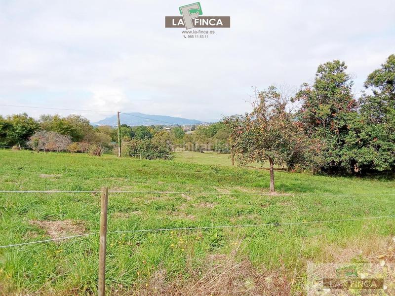 Foto f279ef84-ac9d-404a-81a2-a43830f7a66b. Terreny residencial a Viella-Granda-Meres Siero