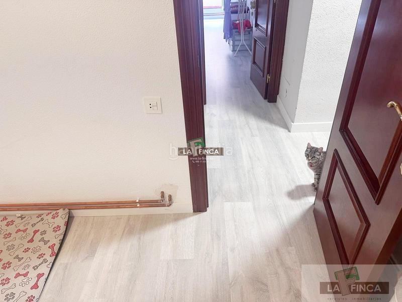 Foto 5c9ee9d9-7e57-469e-8e61-5e7d68960abf. Pis a Masip Oviedo