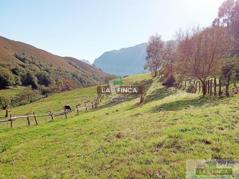 Foto 81b7e8f9-7957-4590-85b4-07d7013988c6. Terreno residencial terreno en Morcín