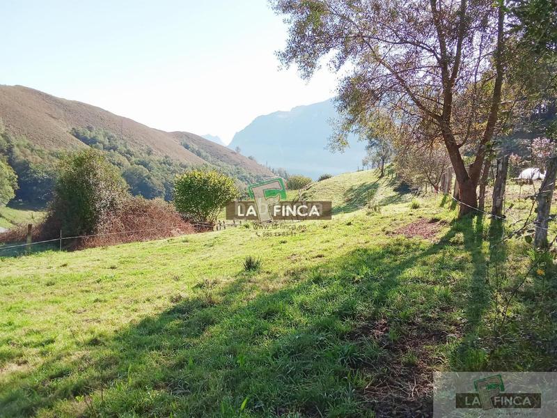 Foto c0d9dc85-6d36-497a-8413-7e6fca3195d2. Terreno residencial terreno en Morcín