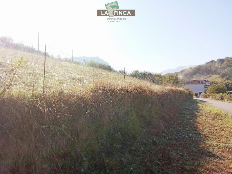 Foto cbc9b91c-5ebe-4490-ba7e-9d0c93688220. Terreny residencial a Morcín