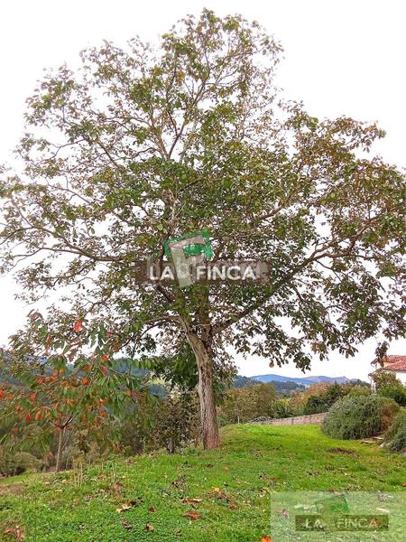 Foto 1f8798ca-59c4-4e9f-95b3-05162b0c5375. Casa amb calefacció a Pravia