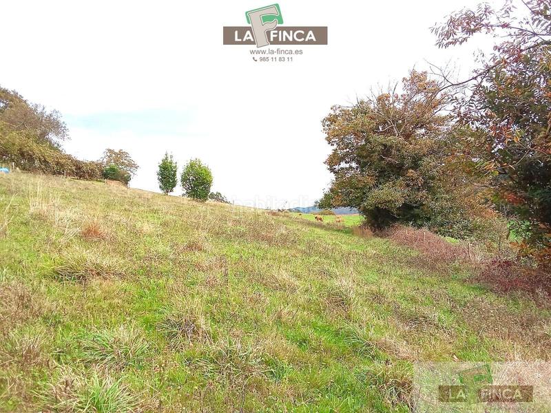 Foto d0405f86-880c-45fd-8dcb-00c3f69c5799. Casa amb calefacció a Pravia