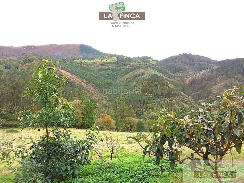 Foto fd6bdb60-a352-4842-91c3-a2337873b80b. Casa amb calefacció a Pravia