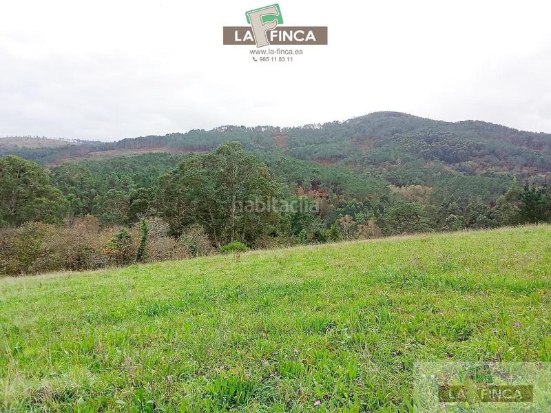 Foto 0ea15462-9e39-41b8-8558-40c8678200fb. Residential plot in Cudillero