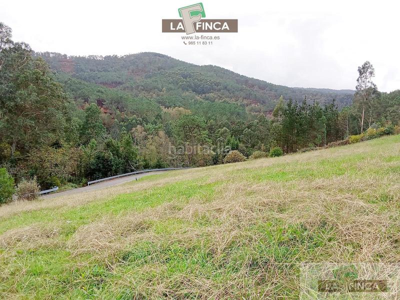 Foto 29fd309e-7d4b-4ed1-85d0-c7e09978f8ce. Residential plot in Cudillero