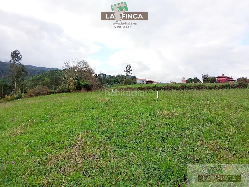 Foto 8acce5bb-9a8c-4fc3-bce7-62bd2106a444. Residential plot in Cudillero