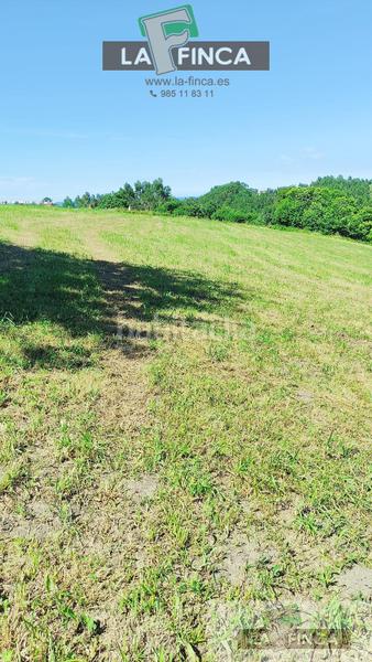 Foto 9b3c7a7c-2641-414a-aa07-f54cf71ba0a2. Residential plot in Cudillero