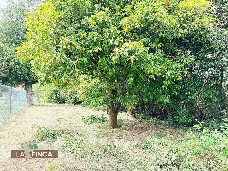 Foto 5e853b6f-965b-414e-aac7-990c6f838cbe. Casa amb calefacció aparcament a Pravia