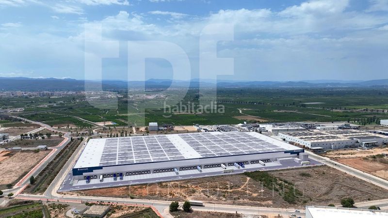 Foto 0cf89a30-22ae-41d9-adb6-7e6e68d87178. Location bâtiment à usage industriel dans Urbanitzacions i Pedanies Nord Alzira