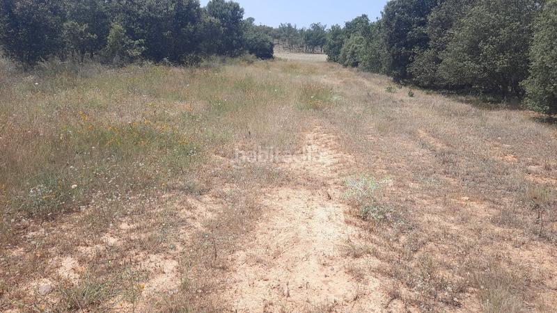 Foto 0e2b98d5-e7d1-4416-94c5-11b8e1c95603. Terreny residencial a Villares de Órbigo