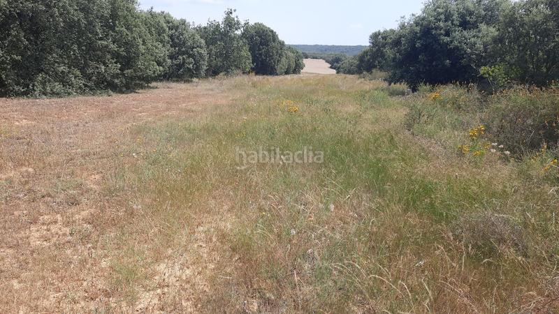 Foto 6f8a0436-943c-4cbe-9c60-2be5dc79bd88. Terreny residencial a Villares de Órbigo