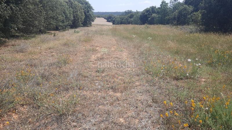 Foto a1d7fc12-d121-4514-bc86-87bd1642f9ac. Terreny residencial a Villares de Órbigo