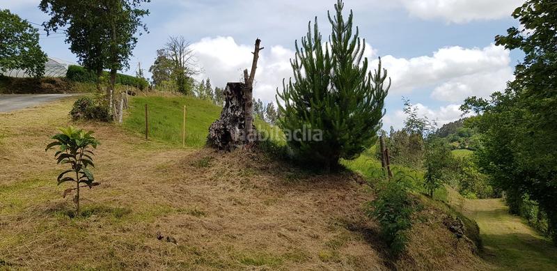 Foto 654f401c-b282-498b-837e-bdce4357e3f2. Terreny residencial a Cenero Gijón