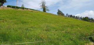 Terreno residencial en Cenero