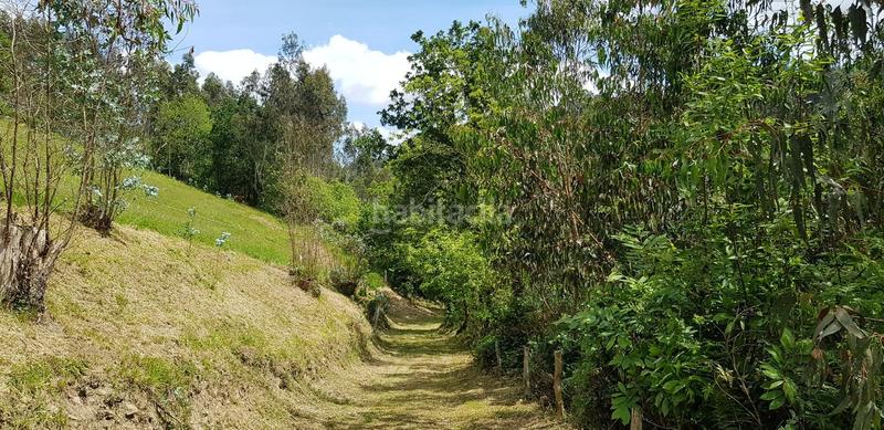 Foto d788da86-03c9-4223-b867-595d27813108. Terreno residenziale in Cenero Gijón